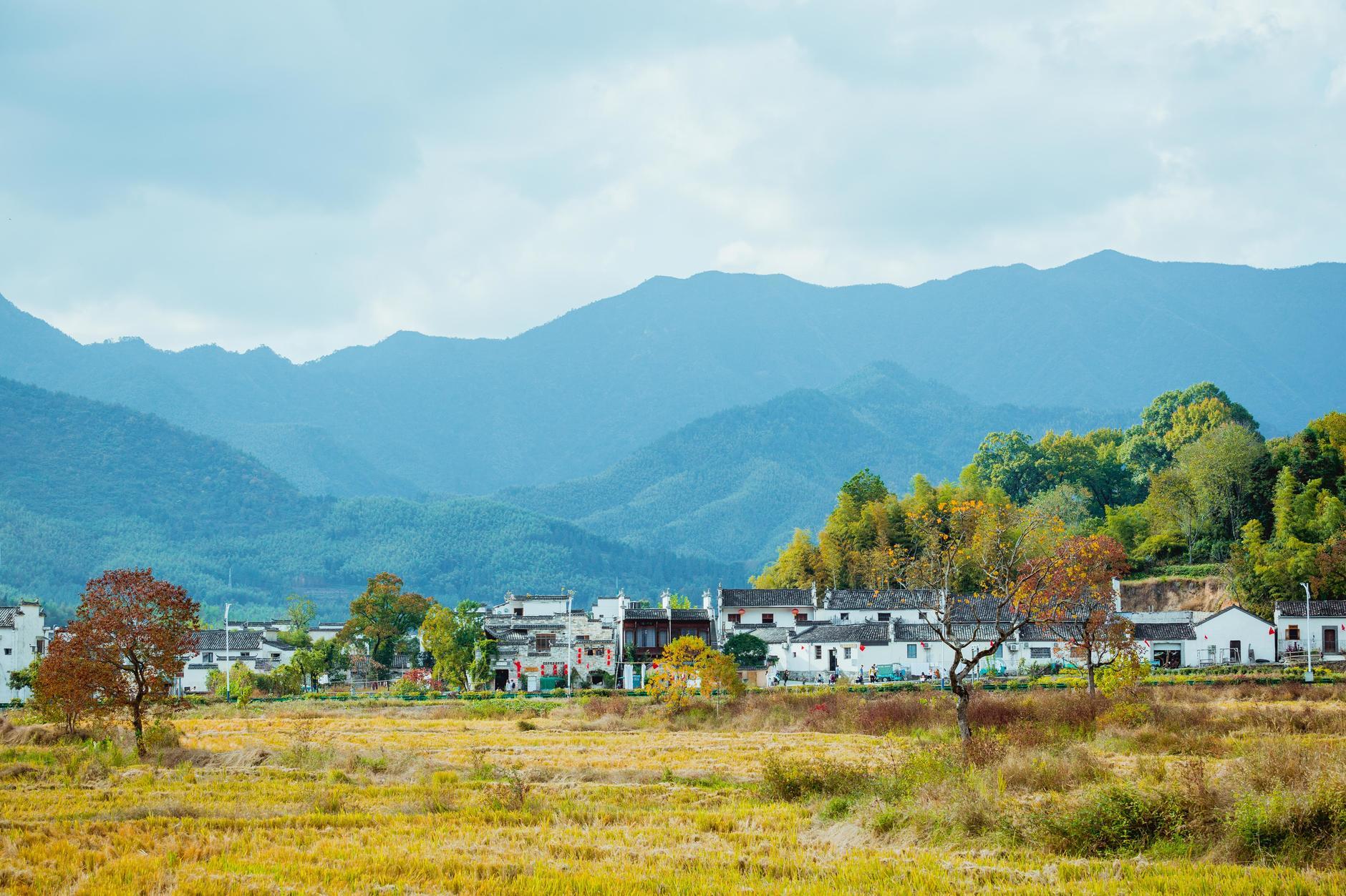 安徽技能学习,任务与技能学习步骤指南