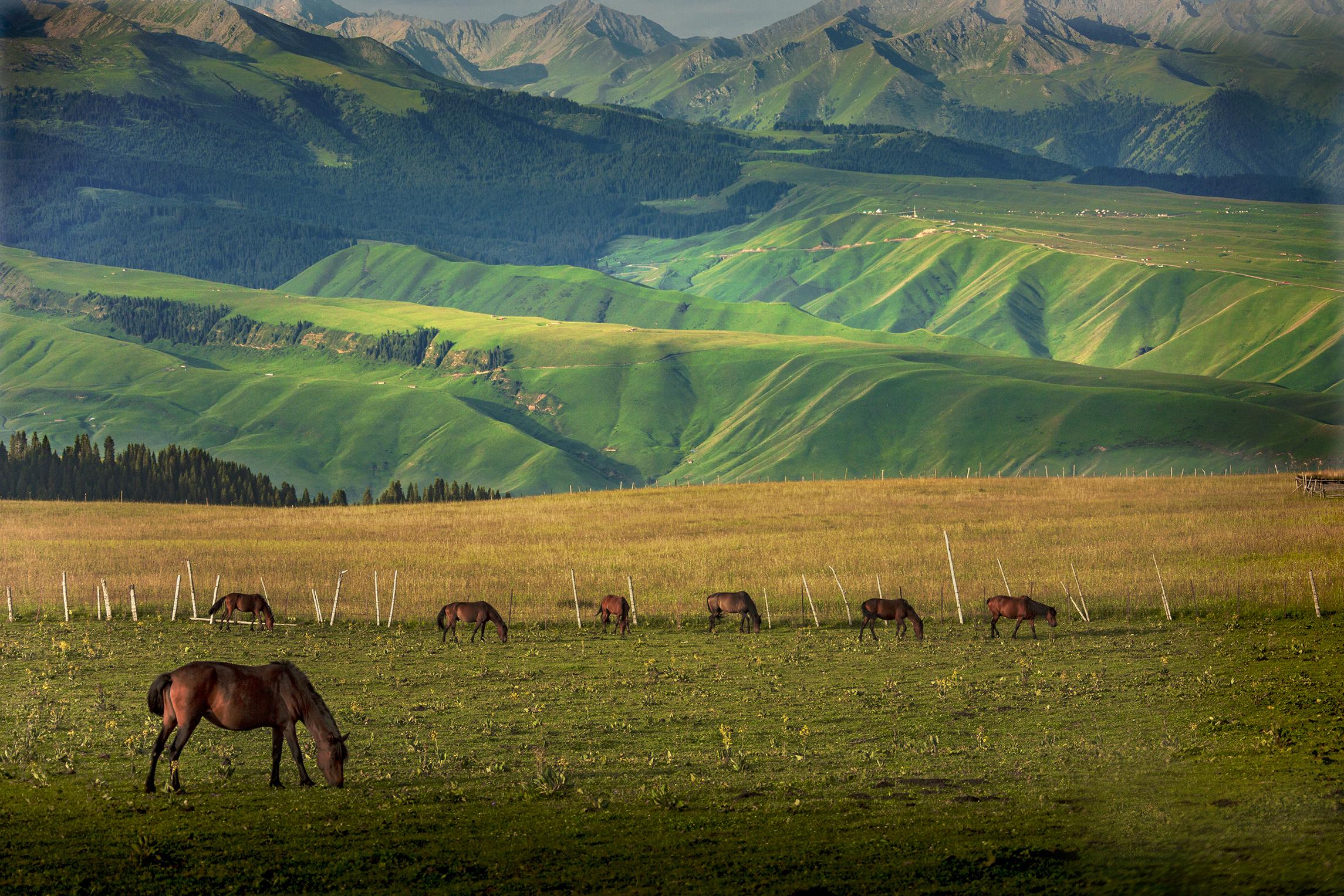 新疆，丝路明珠中的多元文化宝藏